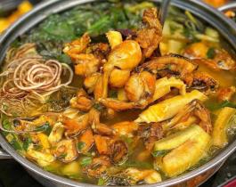 Lẩu ếch